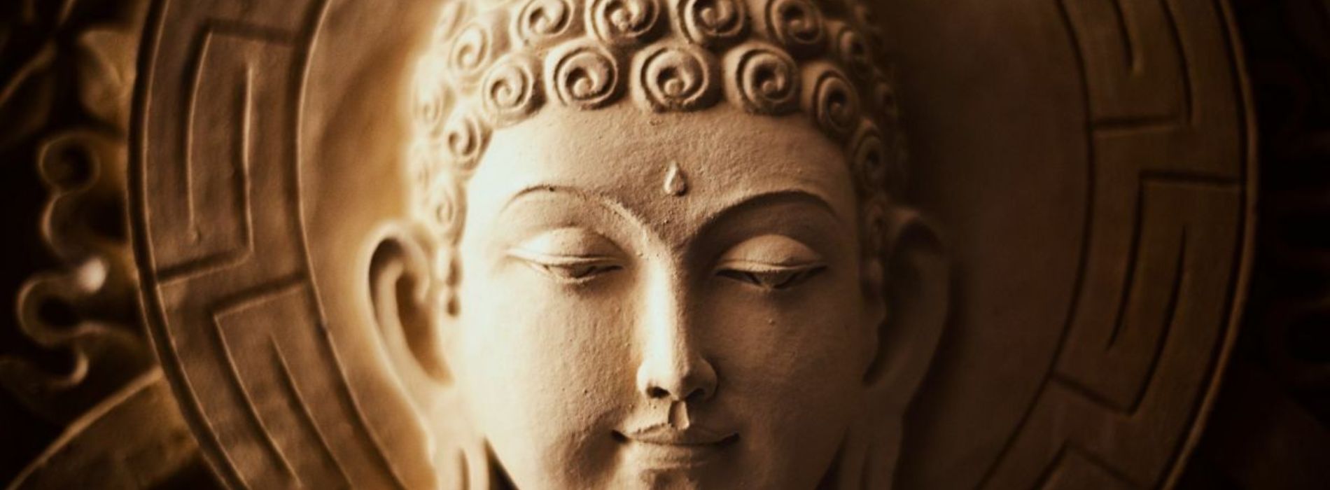 Comment devenir un bouddha en cinq semaines ?