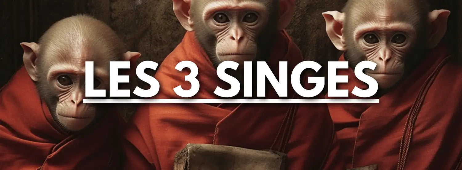 Les 3 Singes de la Sagesse|La signification du Secret