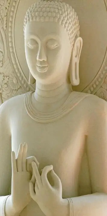 43176335900828|43176335933596|43176335966364|43176335999132|43176336031900|43176336064668