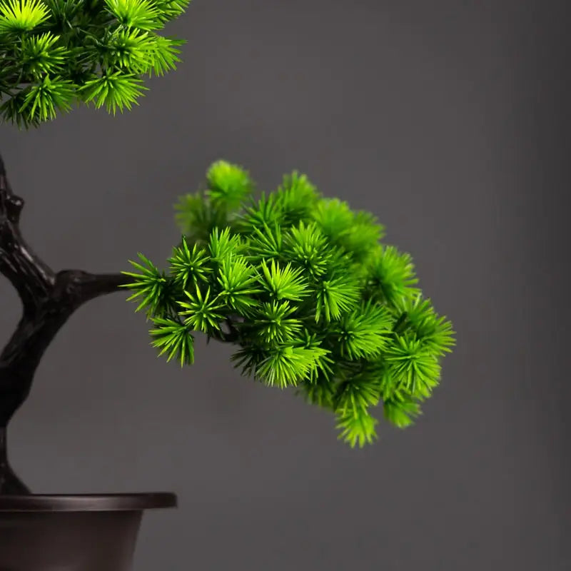 Bonsai Artificiel Pin Wolong
