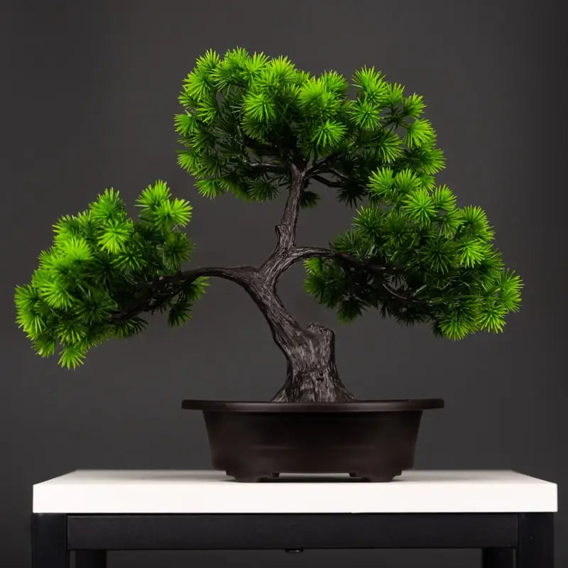 Bonsai Artificiel Pin Wolong