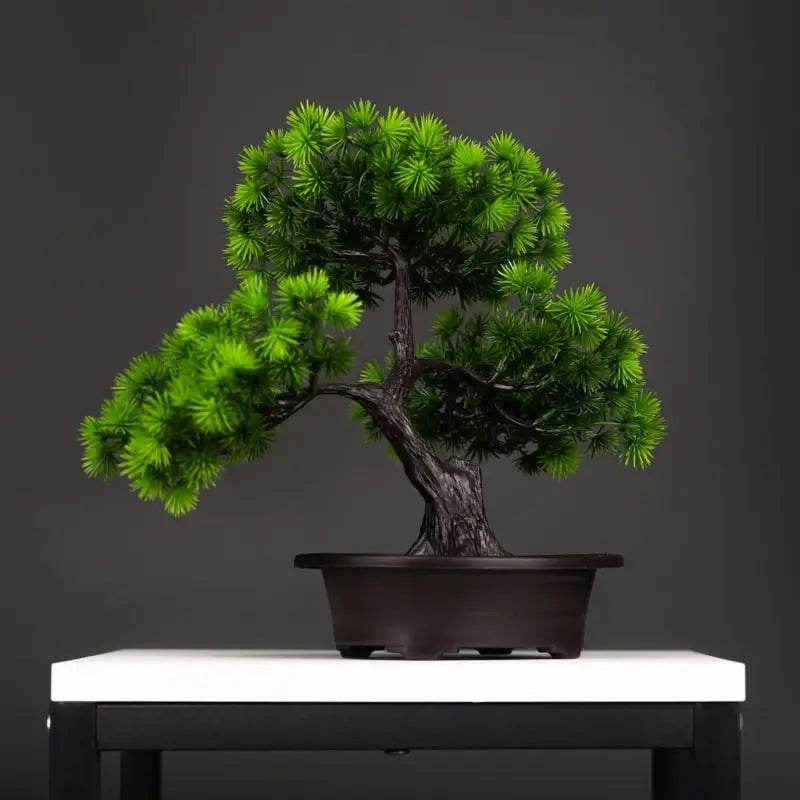 Bonsai Artificiel Pin Wolong