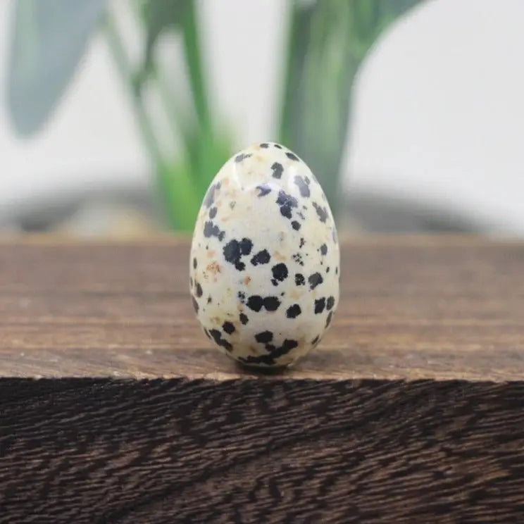 Oeuf de Yoni Jaspe Dalmatien
