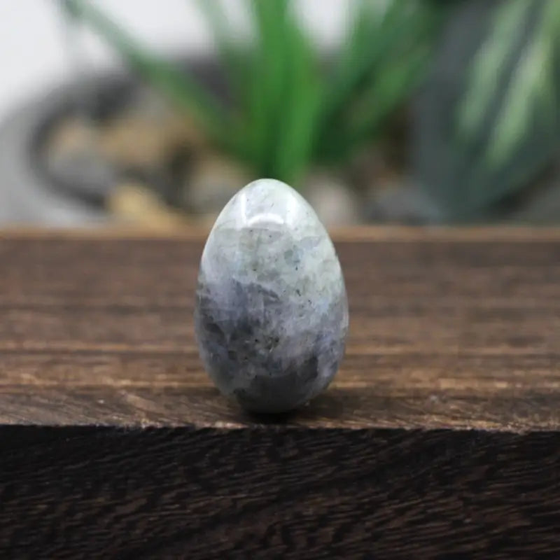 Oeuf de Yoni Labradorite