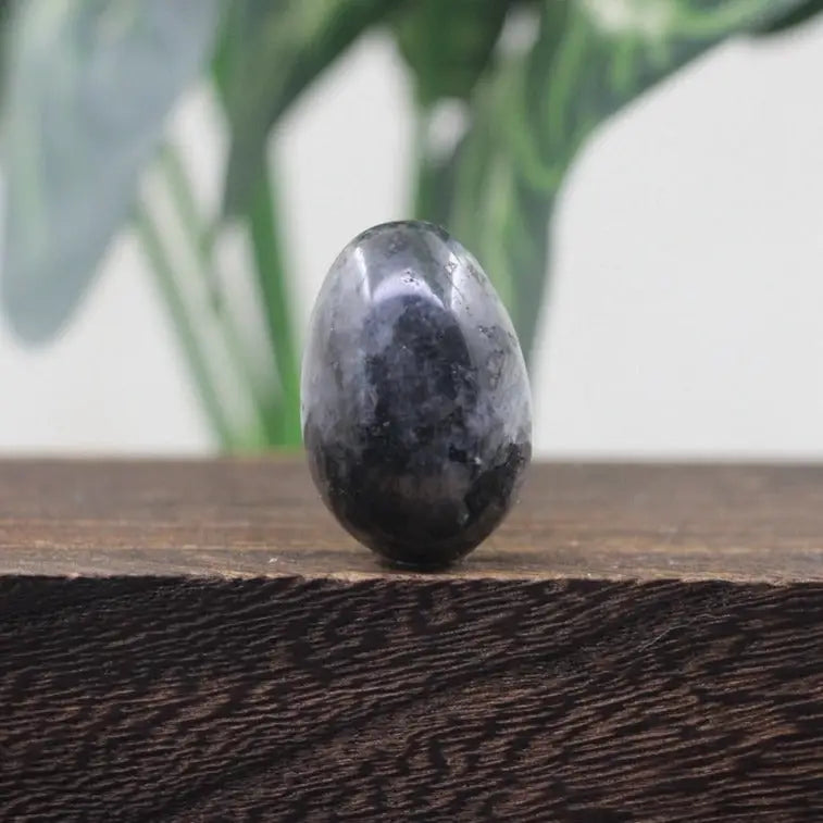 Oeuf de Yoni Labradorite noire
