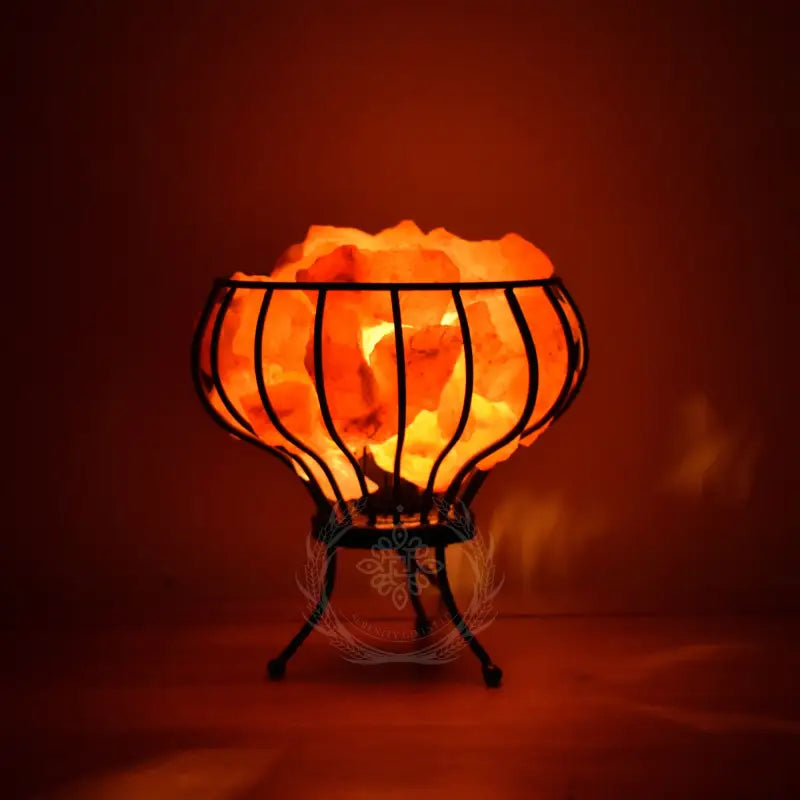 Panier de lampe de sel de l’Himalaya