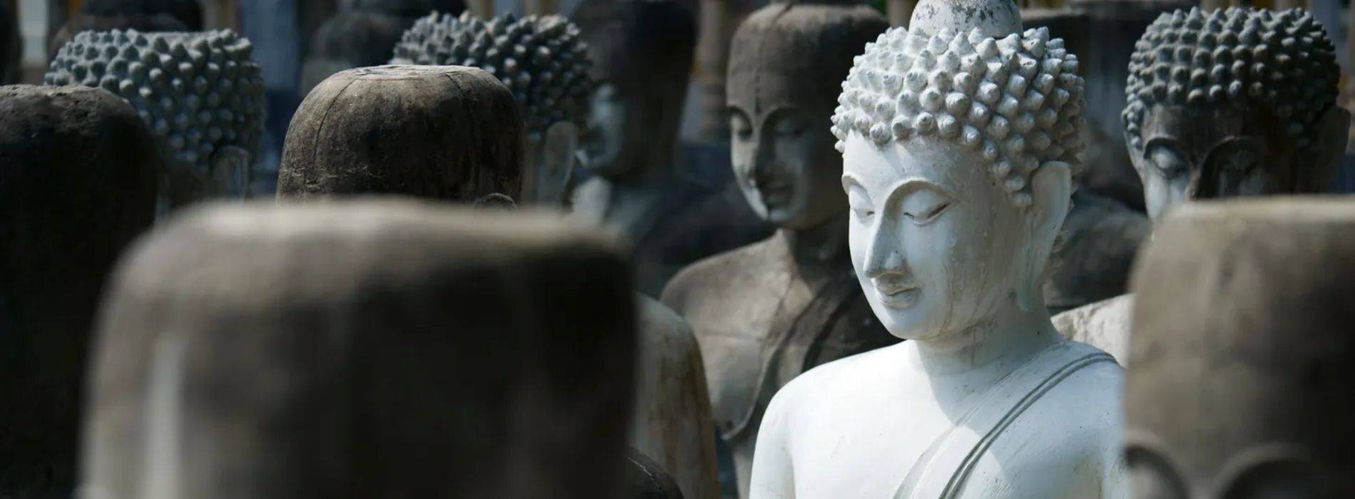 Comment devenir bouddha ? Image