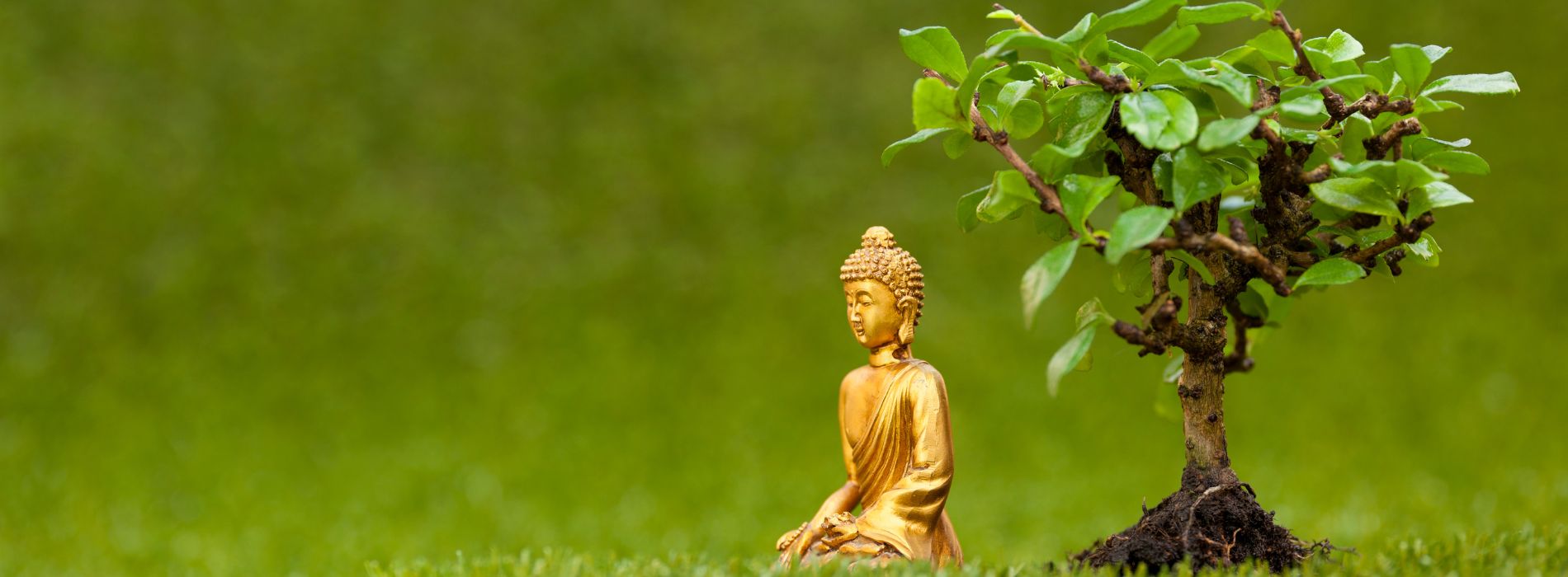Qui est le premier bouddha ? Image