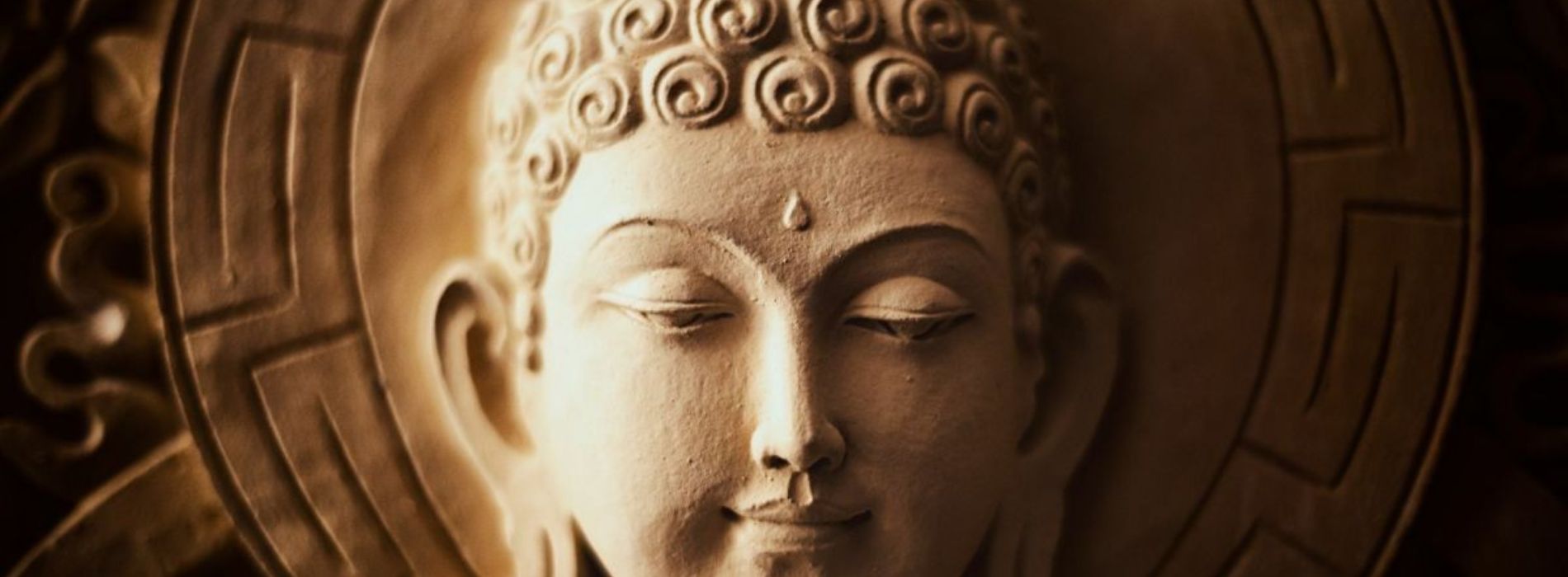 Comment devenir un bouddha en cinq semaines ? Image
