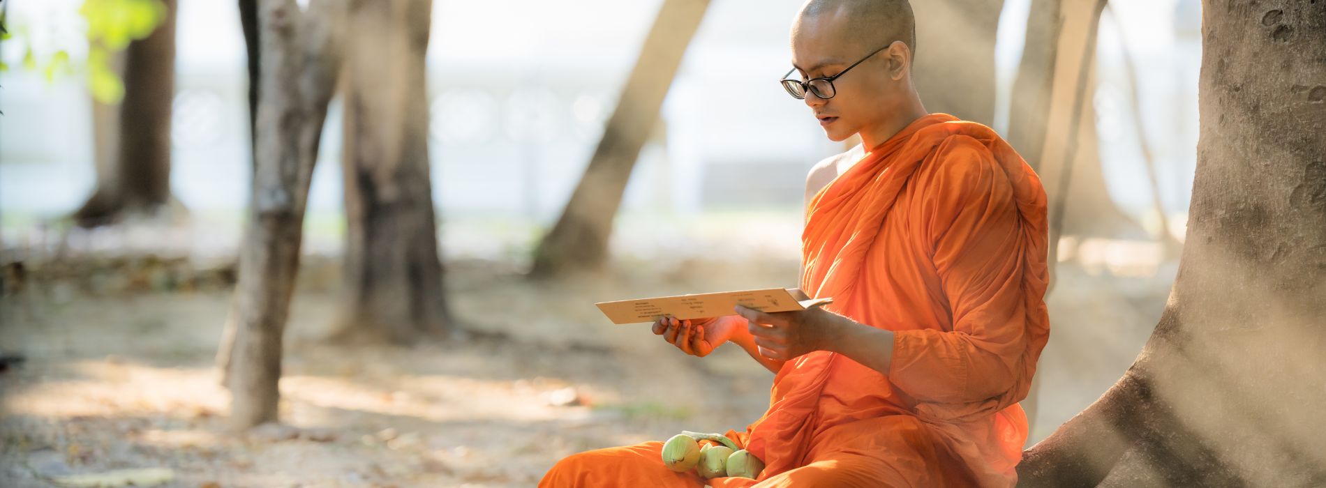 Quel est le livre saint des bouddhistes ?