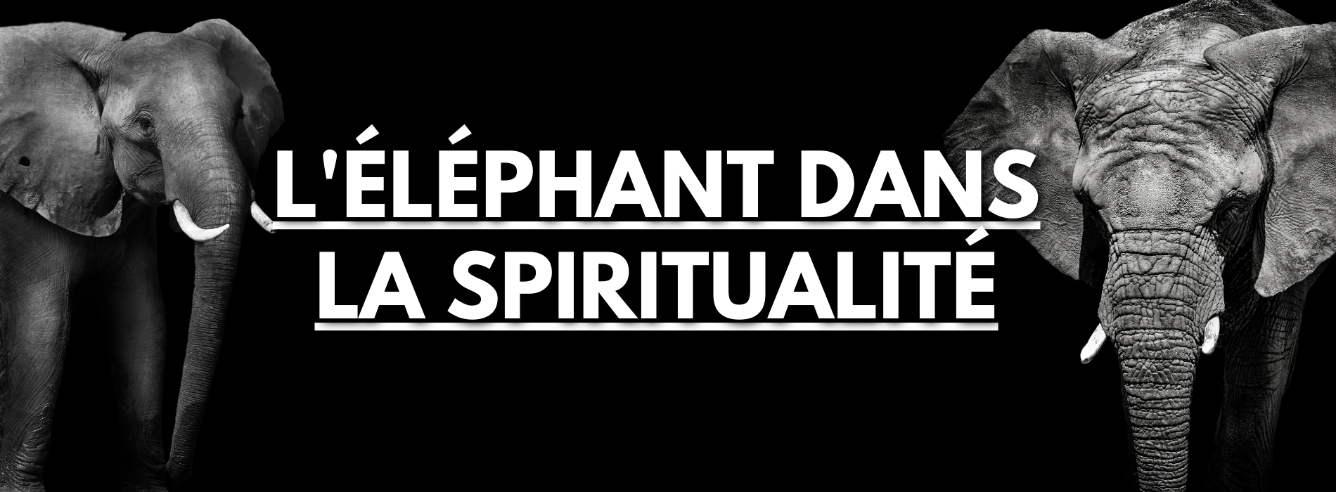 elephant-signification-spirituelle Image