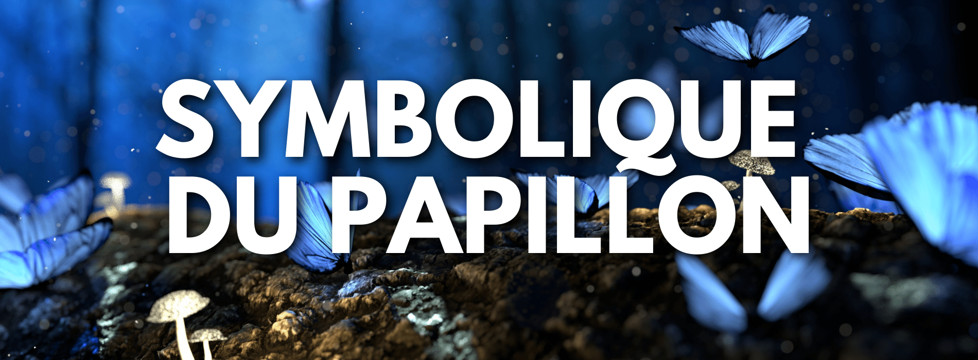 symbolique-du-papillon Image