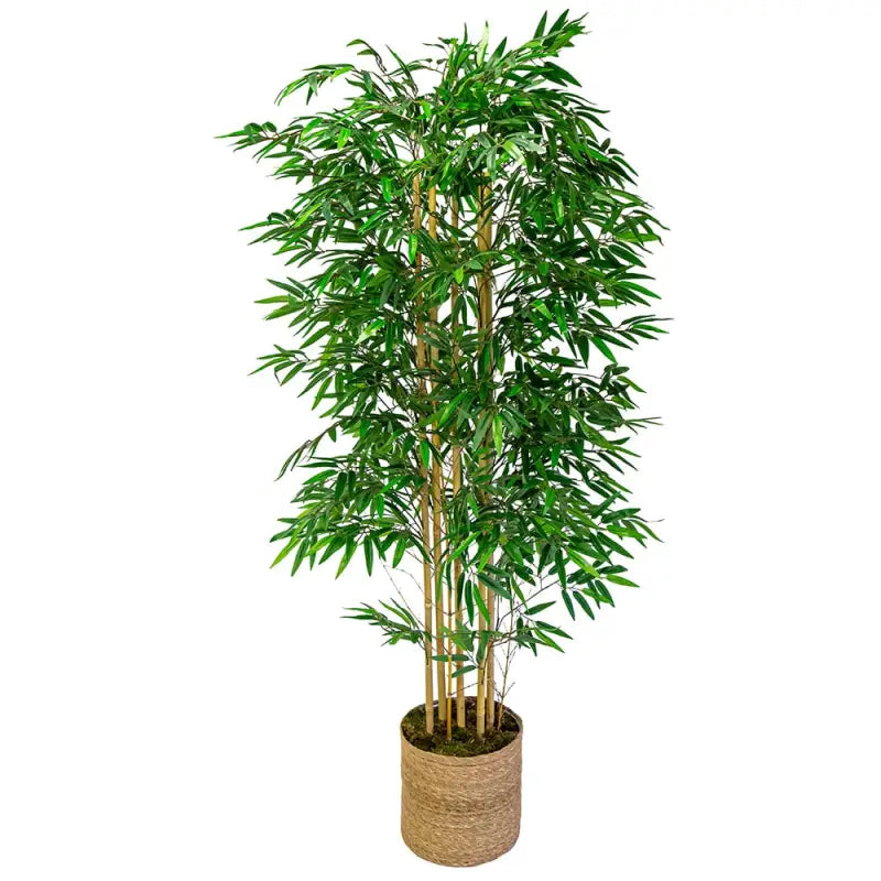 Bambou Artificiel 180cm