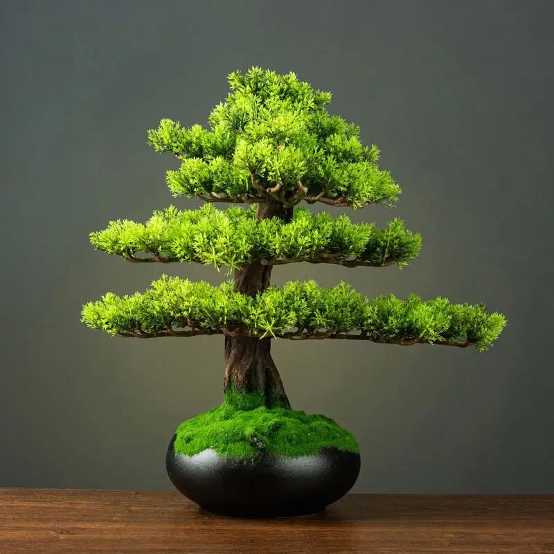 Bonsaï artificiel fait à la main pour décoration zen, vraie branche avec  mousse verte printanière et base en béton, sensation naturelle et énergie  positive -  France
