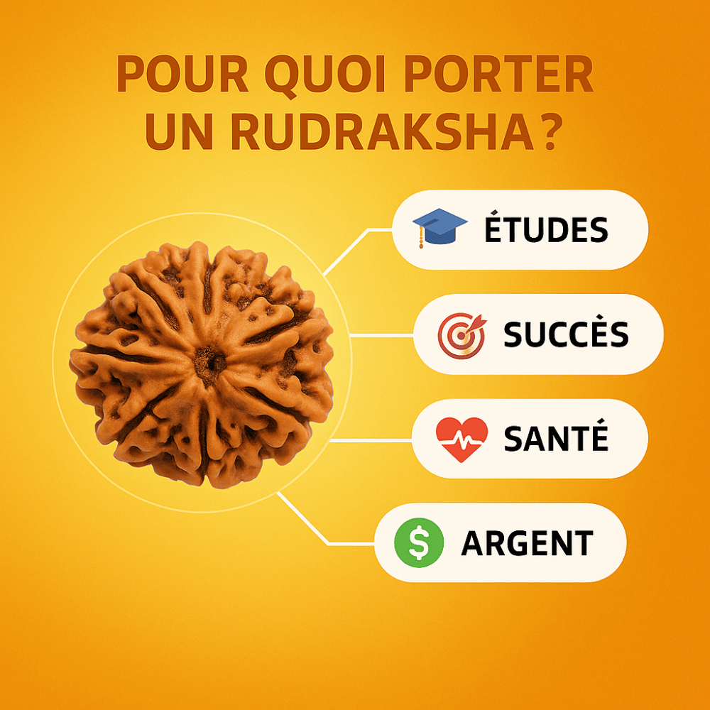 Mala en Graine de Rudraksha du Nepal