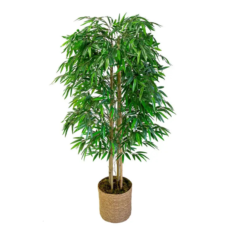 Plante Artificielle Bambou - 150 cm